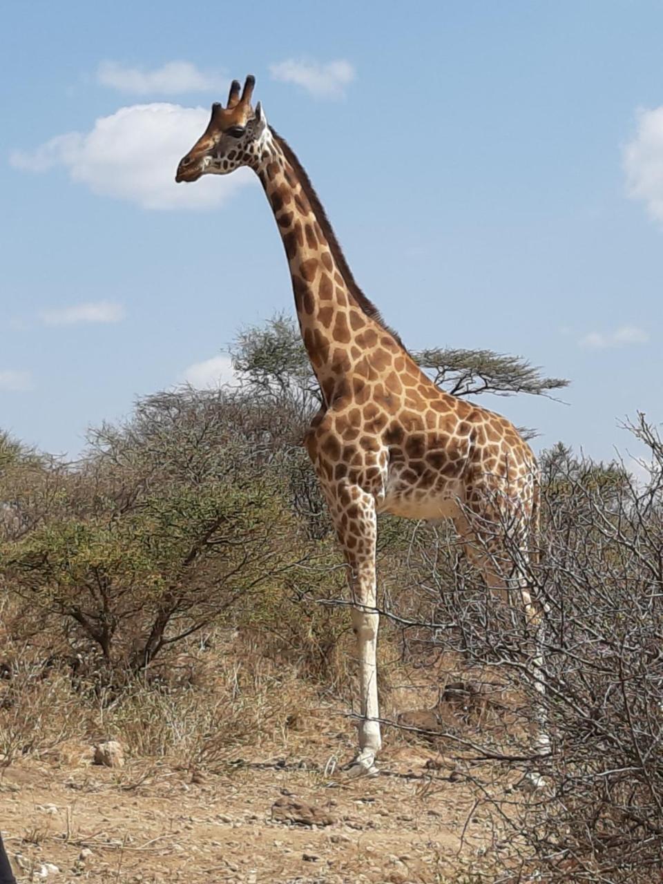 Sandai Resort Lake Baringo Ol Kokwe エクステリア 写真